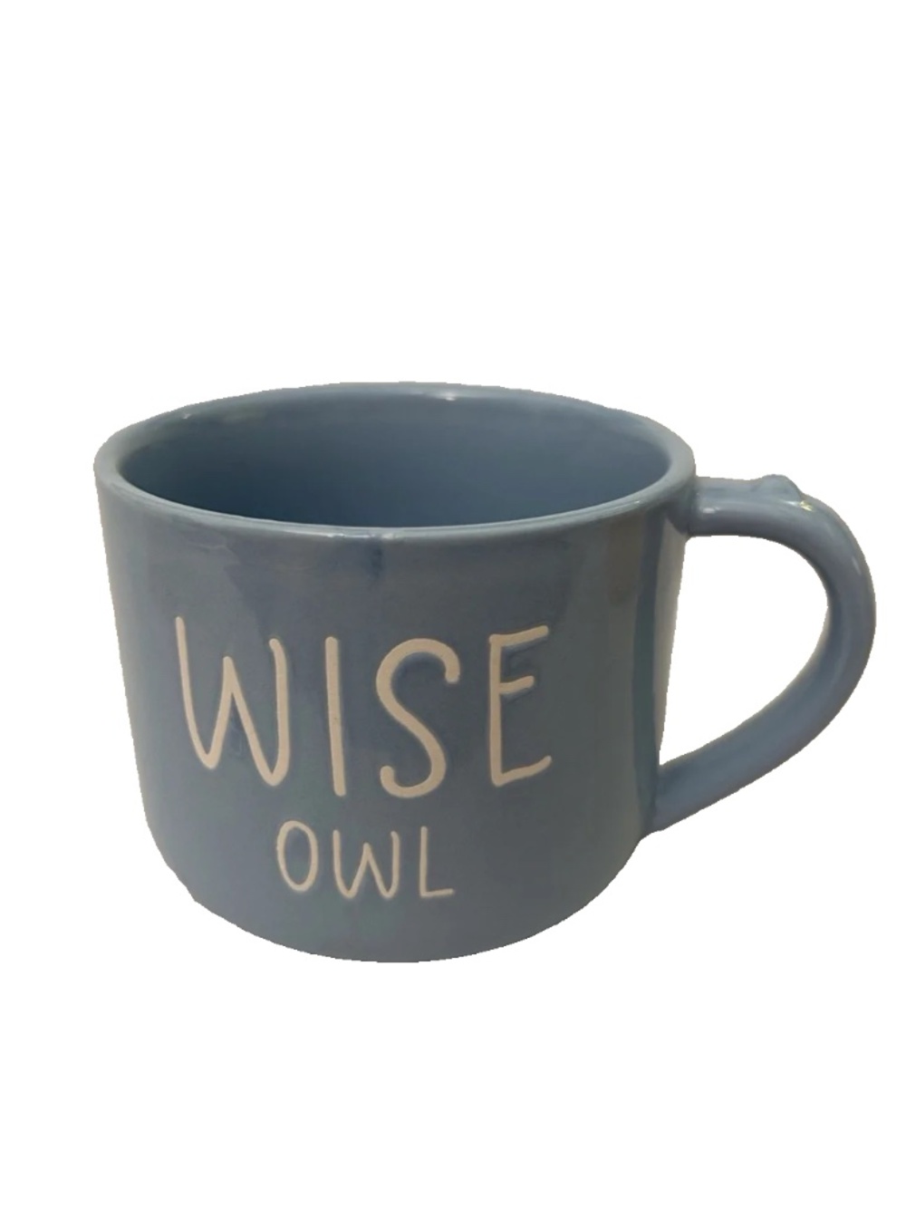 Harvest Green Studio Wise Owl Blue Ceramic Mug Farmhouse Coffee Cup